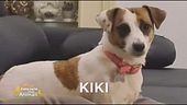 E' stata smarrita Kiki