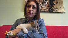 Arianna con Bijoux