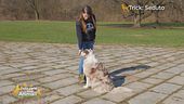 Impariamo divertendoci