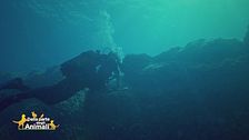Il custode dei segreti del mare
