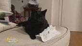 Milly, l'amica di Gene Gnocchi