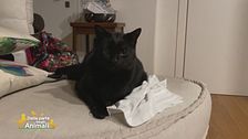 Milly, l'amica di Gene Gnocchi