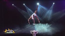 Il Circus Atmosphere, il primo circo tradizionale a non usare animali nei suoi spettacoli
