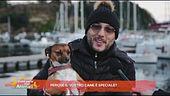 Perché il tuo cane è speciale?