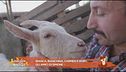 Bianca, Bianchina, Carmen e Roby, gli amici di...Simone Barbato