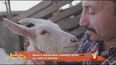 Bianca, Bianchina, Carmen e Roby, gli amici di...Simone Barbato