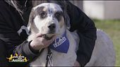 Timmy ha sette mesi e cerca una famiglia