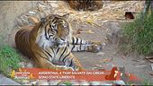 Le notizie dal mondo degli animali