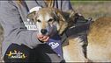 Oleg ha 12 anni e vuole una famiglia tutta per sé