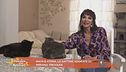 Maya e Atena, le gattine adorate di Miriana Trevisan