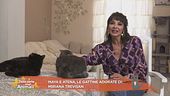 Maya e Atena, le gattine adorate di Miriana Trevisan