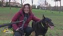 Hai mai fatto nuove amicizie grazie al tuo cane?