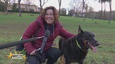 Hai mai fatto nuove amicizie grazie al tuo cane?