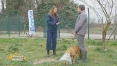 I consigli della nutrizionista