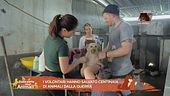 Notizie dal mondo