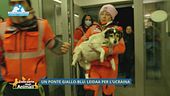 Un ponte giallo-blu: Leidaa per l'Ucraina