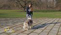 Impariamo divertendoci: il comando twist and round