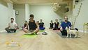 A Milano si fa yoga insieme ai gatti