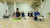 A Milano si fa yoga insieme ai gatti