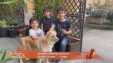 Le domande dei bambini