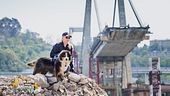 Cani poliziotti, eroi a quattro zampe