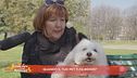 Quando i nostri pet ci strappano una risata?