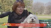 Quando i nostri pet ci strappano una risata?