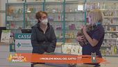 I problemi renali del gatto