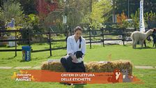 Pet food, ecco come leggere correttamente le etichette