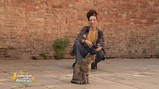 Marianna Zampieri, la gattografa