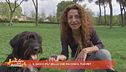 Il gioco più bello che fai con il tuo pet