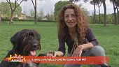 Il gioco più bello che fai con il tuo pet