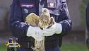 I carabinieri forestali