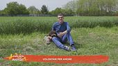 Volontari per amore