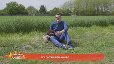 Volontari per amore