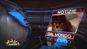 Notizie dal mondo
