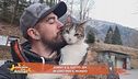 Johnny e il gatto Jek in giro per il mondo
