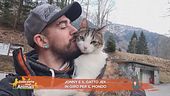 Johnny e il gatto Jek in giro per il mondo
