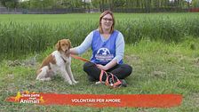 Volontari per amore