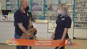 La prevenzione per il cucciolo