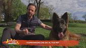I soprannomi che dai al tuo pet