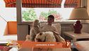 Perchè i cagnolini amano giocare con i legnetti?