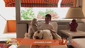 Perchè i cagnolini amano giocare con i legnetti?