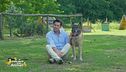 Il pastore belga