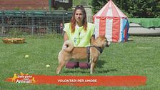 Volontari per amore