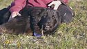Atena, una grande giocherellona