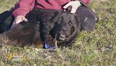 Atena, una grande giocherellona