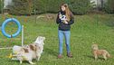 Comunicare correttamente con il proprio cane