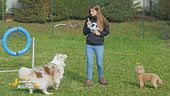 Comunicare correttamente con il proprio cane