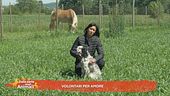 Volontari per amore